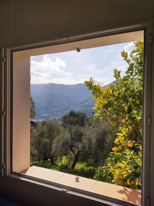 Bas De Villa. Cote D'Azur, A 20 Kms De Nice 孔特 外观 照片